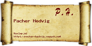 Pacher Hedvig névjegykártya